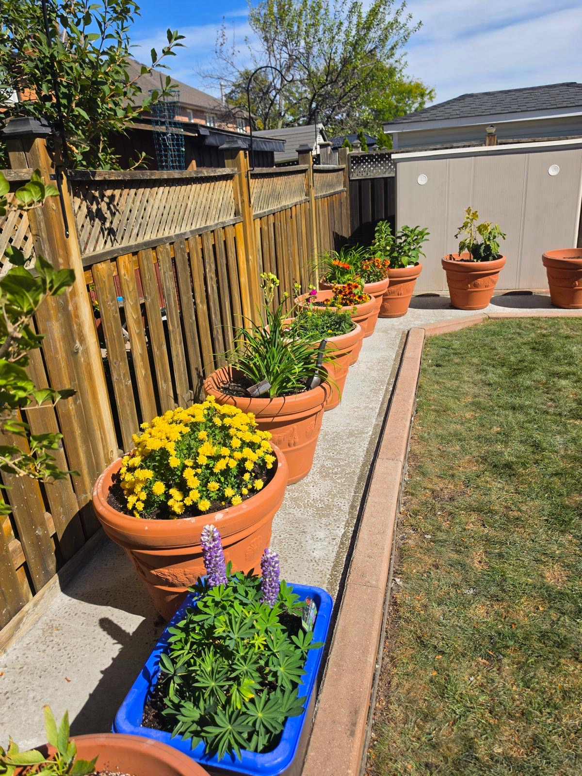 Garden Concrete Pad — Concrete work project in Woodbridge by A-Z Landscaping