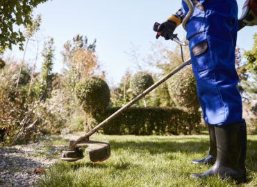 Lawn Maintenance Milton - AZLandscaping