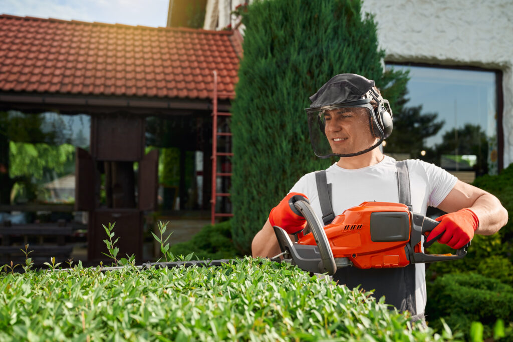 Lawn Maintenance Milton
