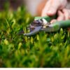 Lawn Maintenance Companies Vaughan